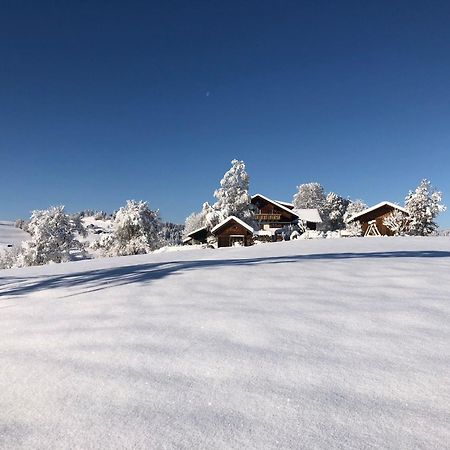 Ferienwohnung Aigisblick Mit Pool Und Sauna, Direkt Am Skihang มิสเซน-วิลฮามส์ ภายนอก รูปภาพ